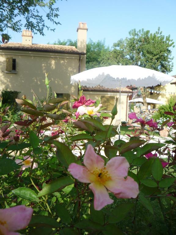 Casina Le Conserve Cesenatico Oda fotoğraf